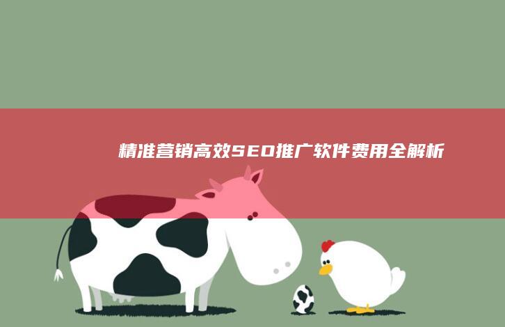 精准营销：高效SEO推广软件费用全解析